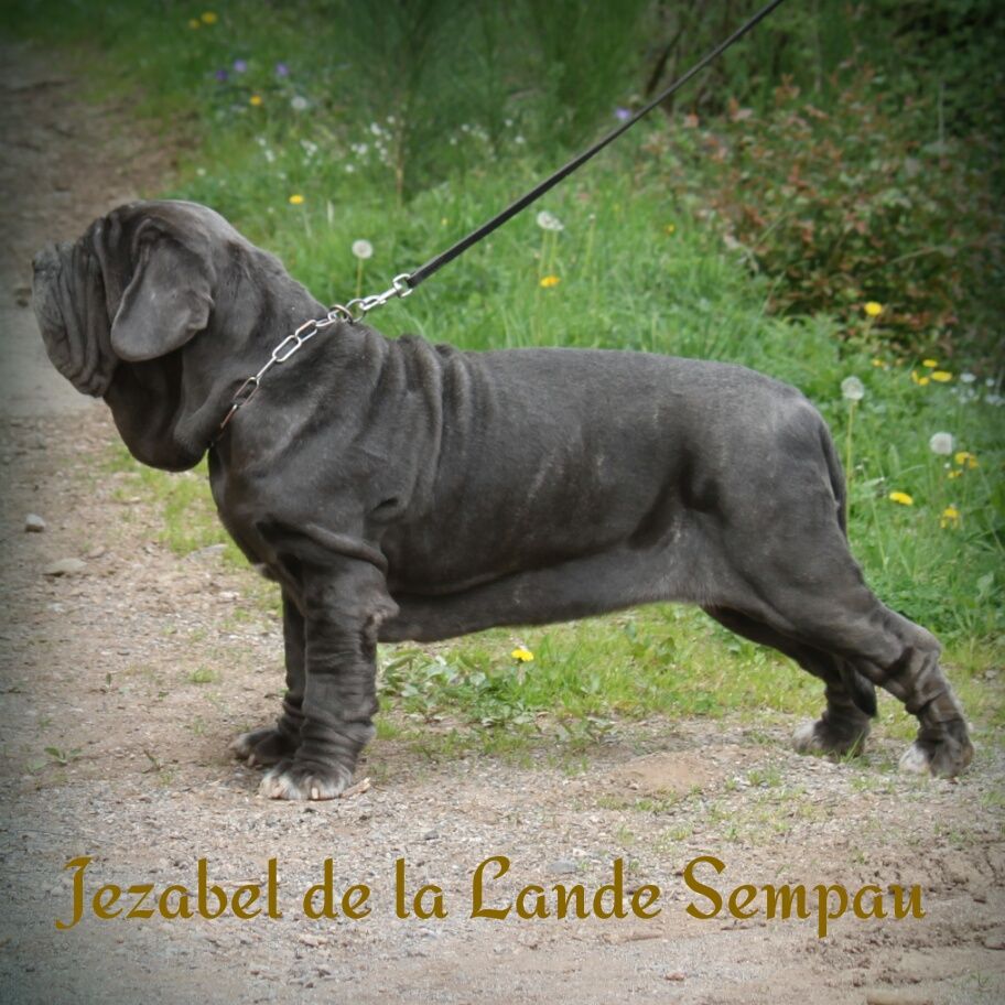 Jezabel de la Lande Sempau