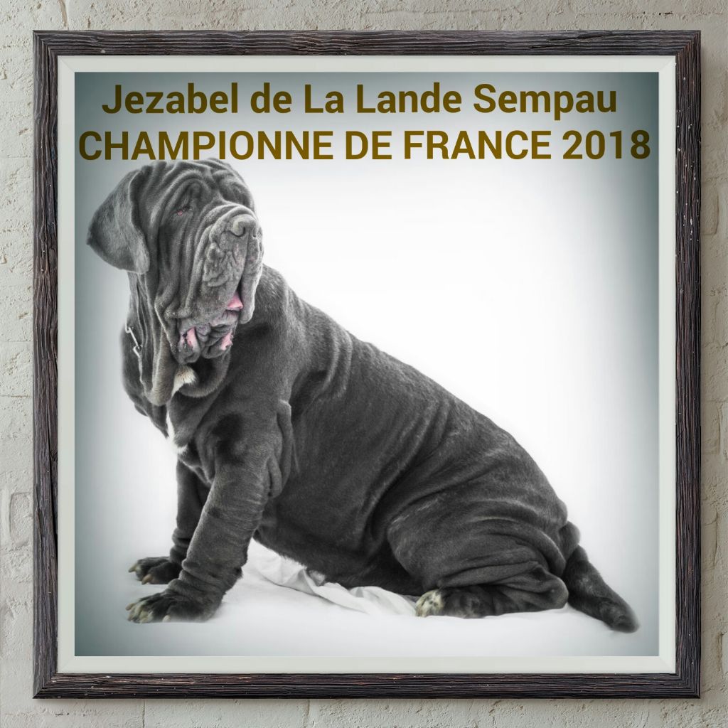 de la Lande Sempau - Jezabel championne de France