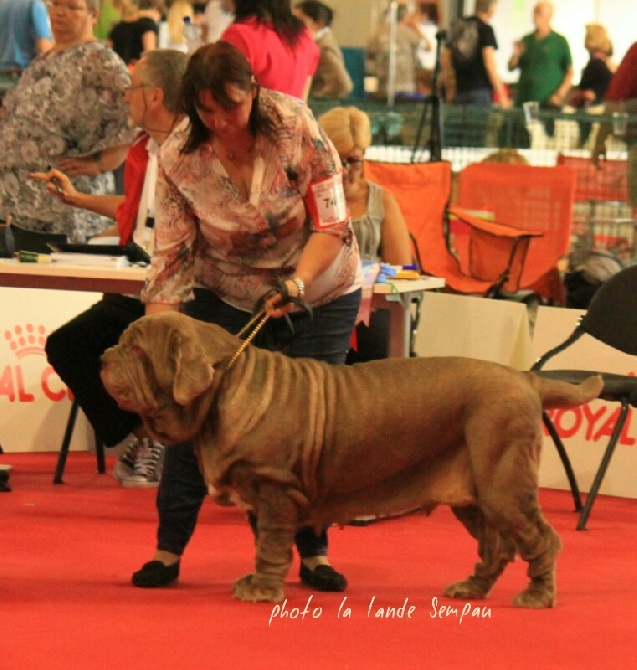 de la Lande Sempau - Chamionnat du Monde a Milan le 12 juin 15